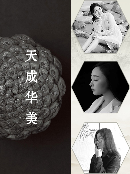 天成華美設(shè)計團(tuán)隊